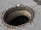 Започва масовата есенно-зимна дератизация във Варна