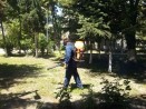 Продължава обработката срещу вредители на терени и обекти с  обществено значение